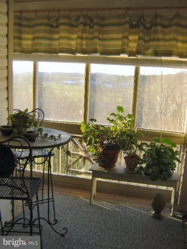 604 Churchill Road, Unit O Bel Air, MD 21014 - Photo 26 of 30 a vase of flowers sitting on a table