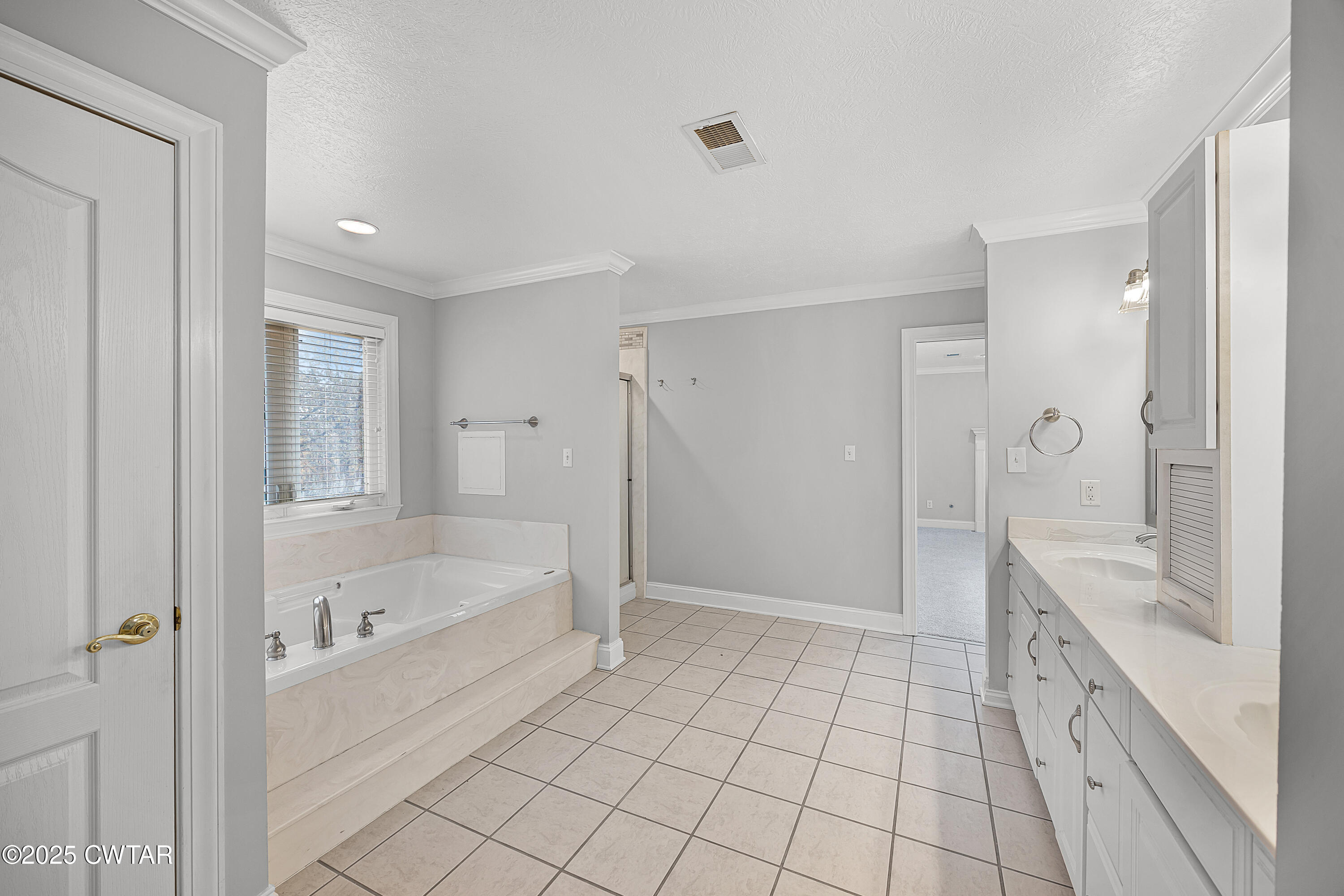 433 Sanders Bluff Road Three Way, TN 38343 - Photo 26 of 43 a spacious bathroom with a tub shower and a sink