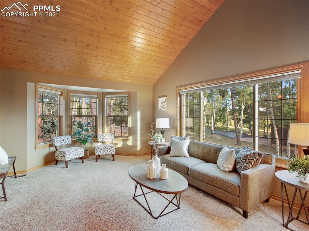 149 Joshua Road Divide, CO 80814 - Photo 19 of 49