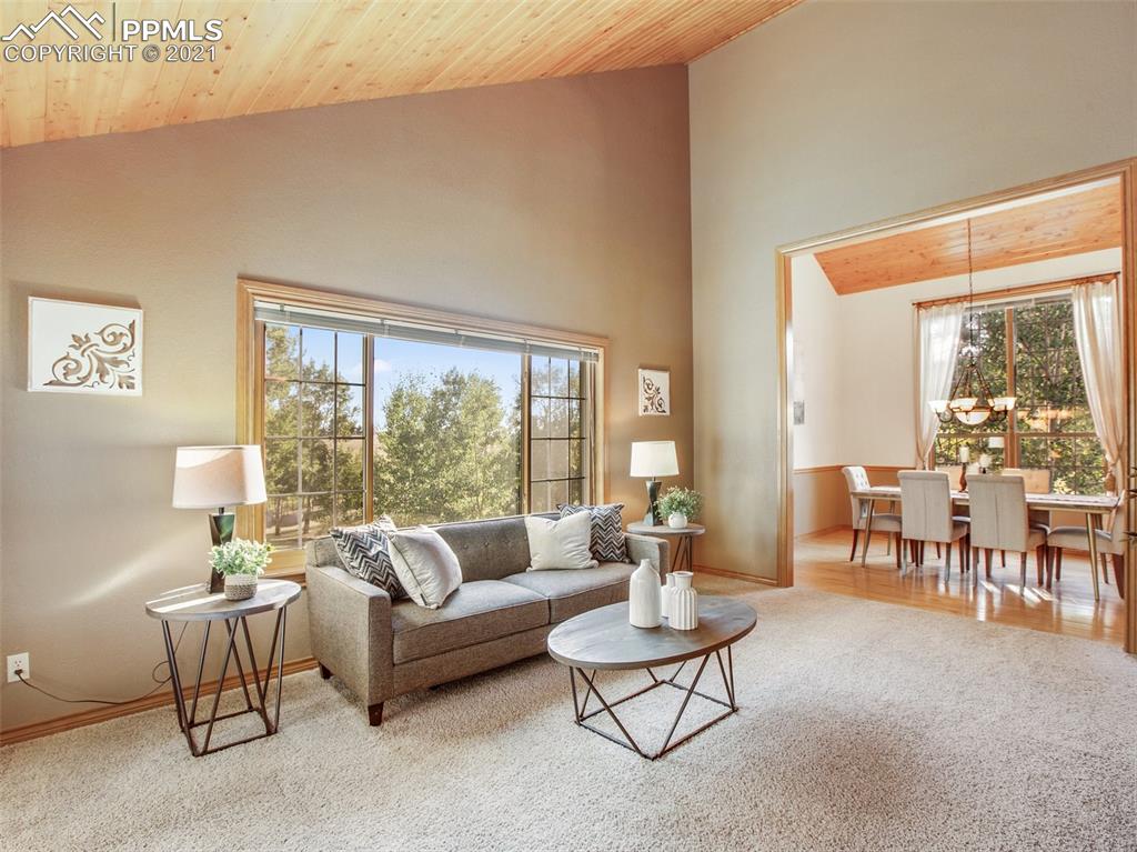 149 Joshua Road Divide, CO 80814 - Photo 22 of 49