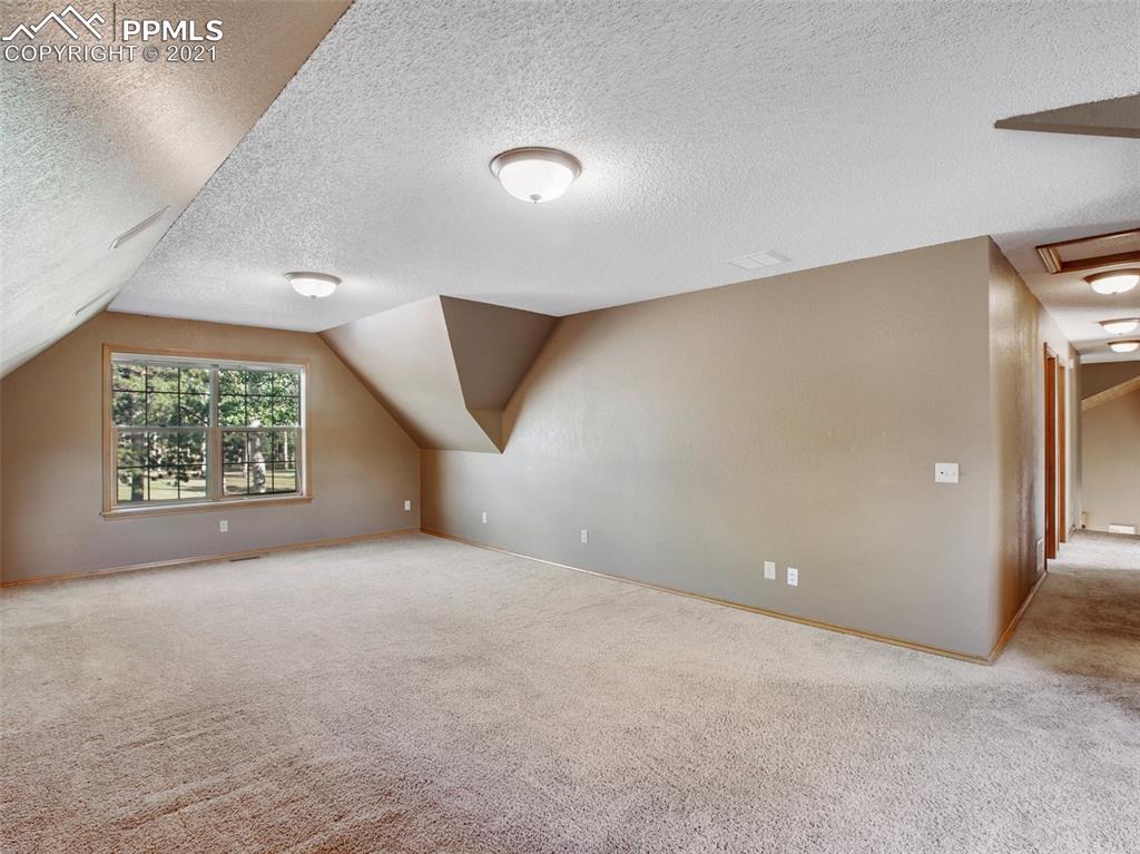 149 Joshua Road Divide, CO 80814 - Photo 23 of 49