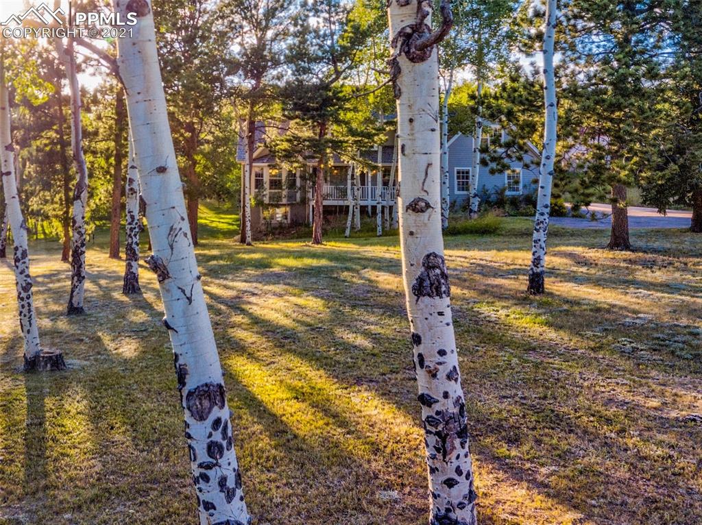 149 Joshua Road Divide, CO 80814 - Photo 39 of 49