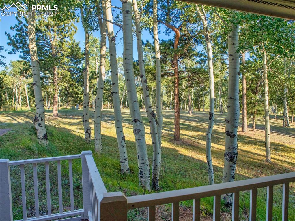 149 Joshua Road Divide, CO 80814 - Photo 49 of 49