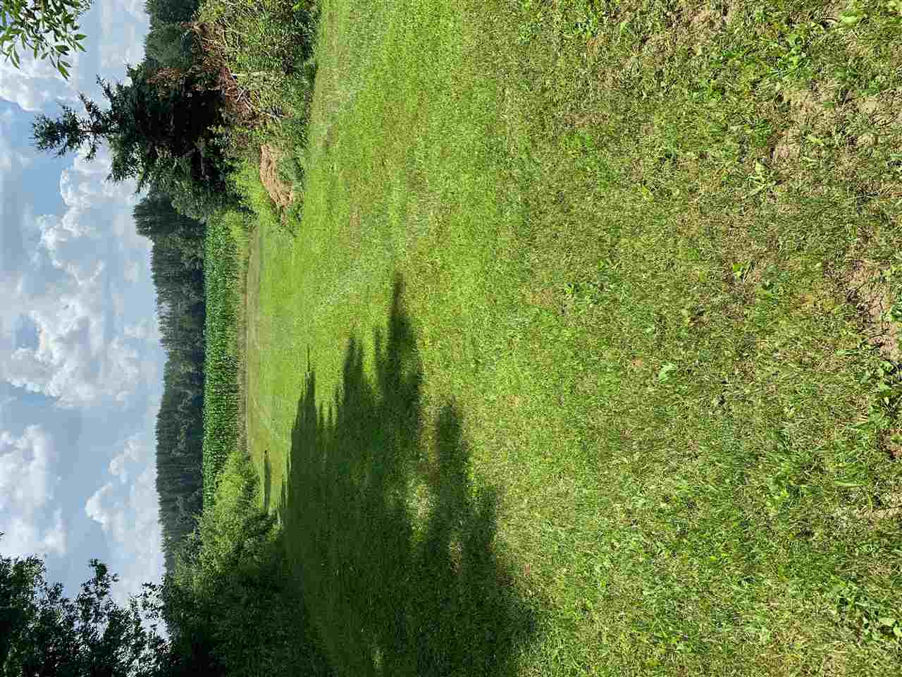 6445 Murphy Lake Road Millington, MI 48746 - Photo 4 of 16 Backyard (south of house)