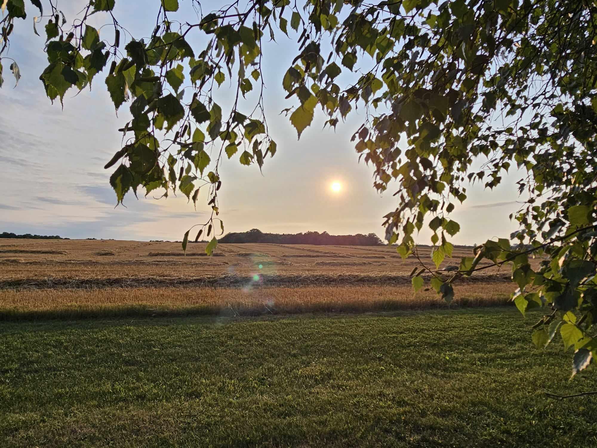 5466 Maynard Road Lyons, MI 48851 - Photo 54 of 57 356305406_964718518114272_54943461398790