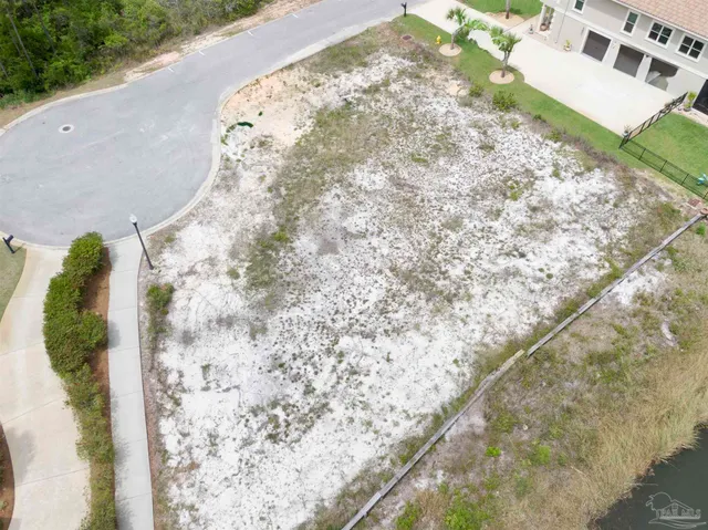 a close up of a plant in a kitchen
