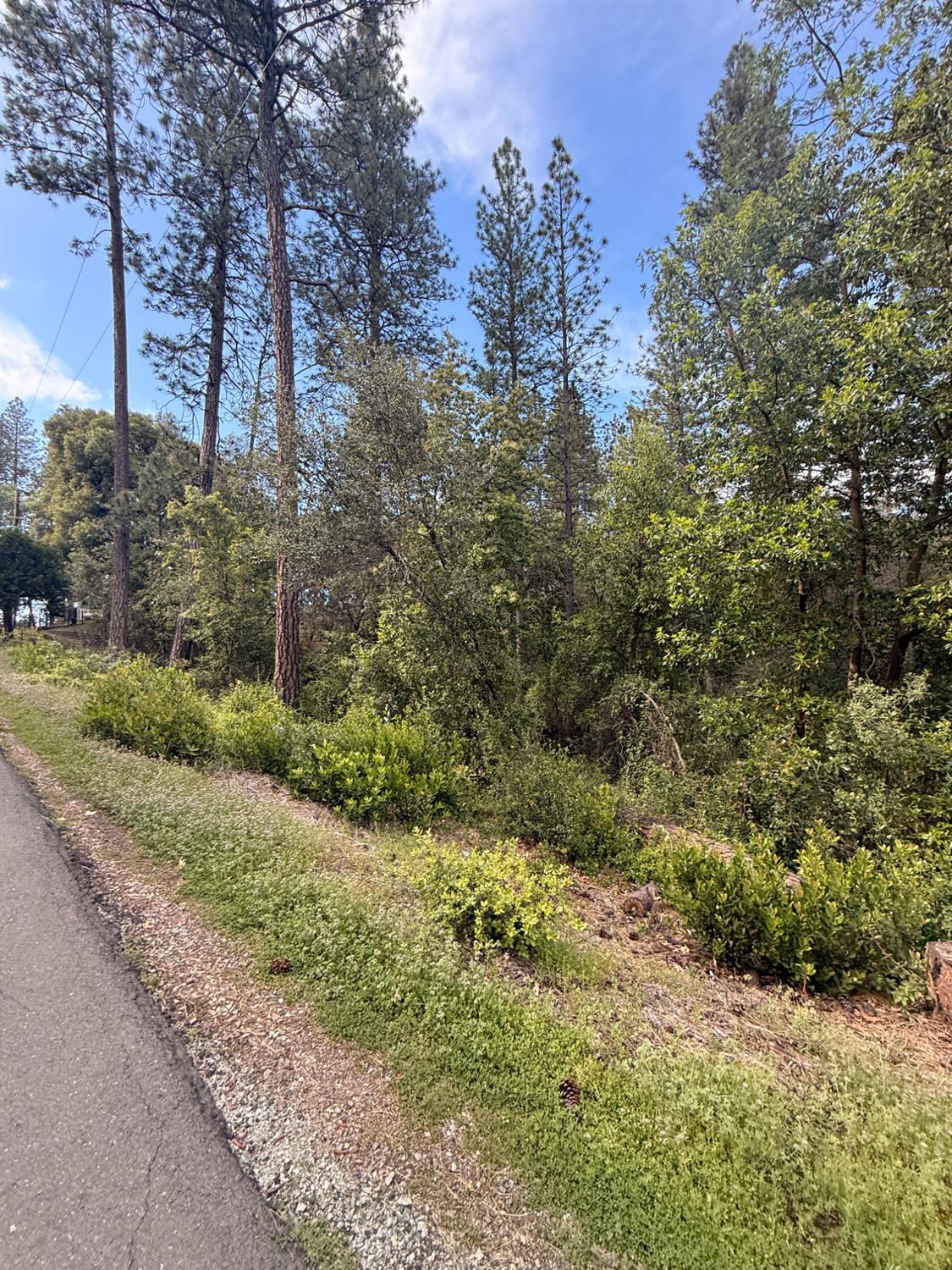 0 Manzanita Road Sutter Creek, CA 95685 - Photo 2 of 5