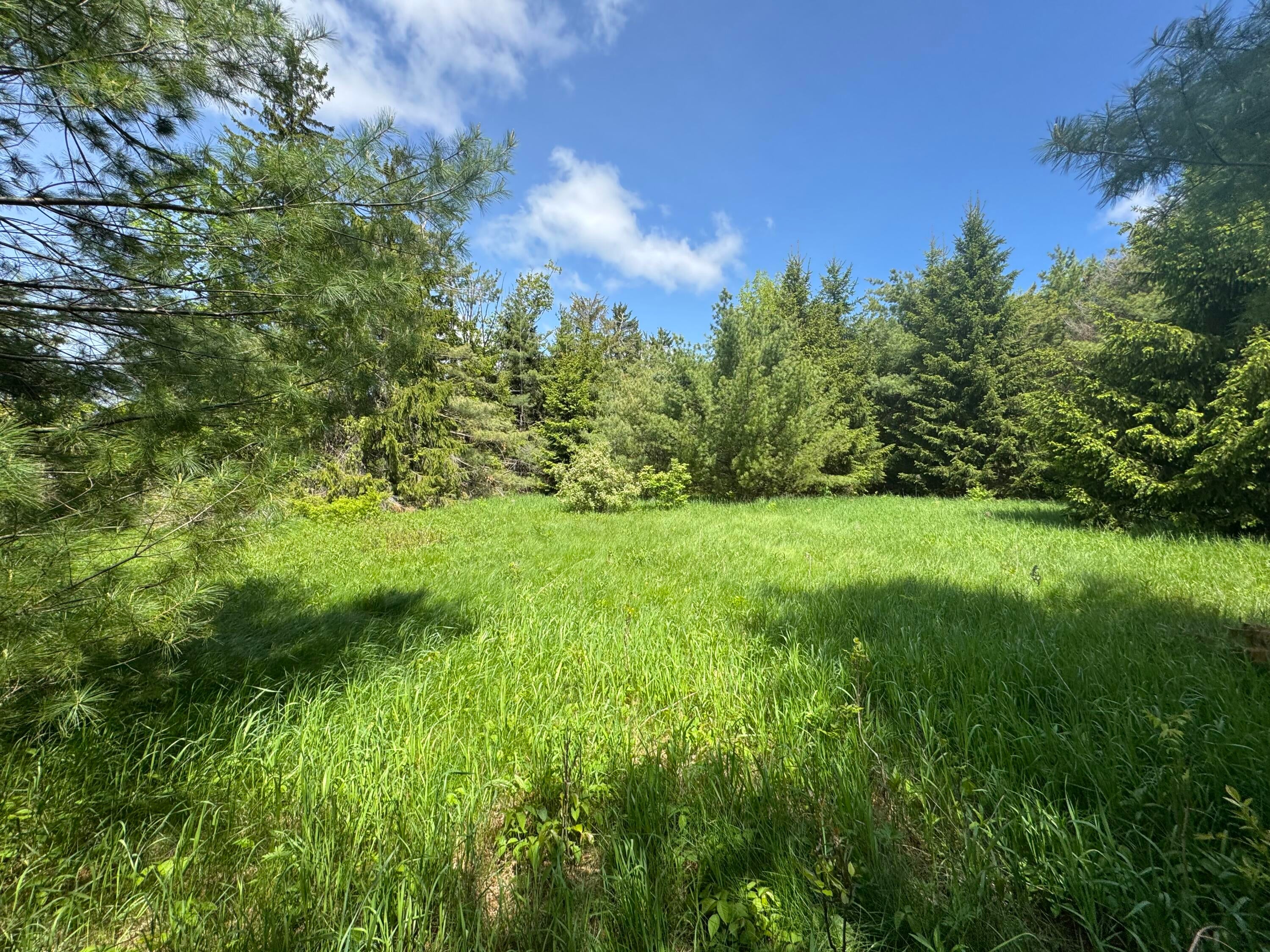 Lot 3 East West Resort Road Alanson, MI 49706 - Photo 5 of 5 Lot 3c