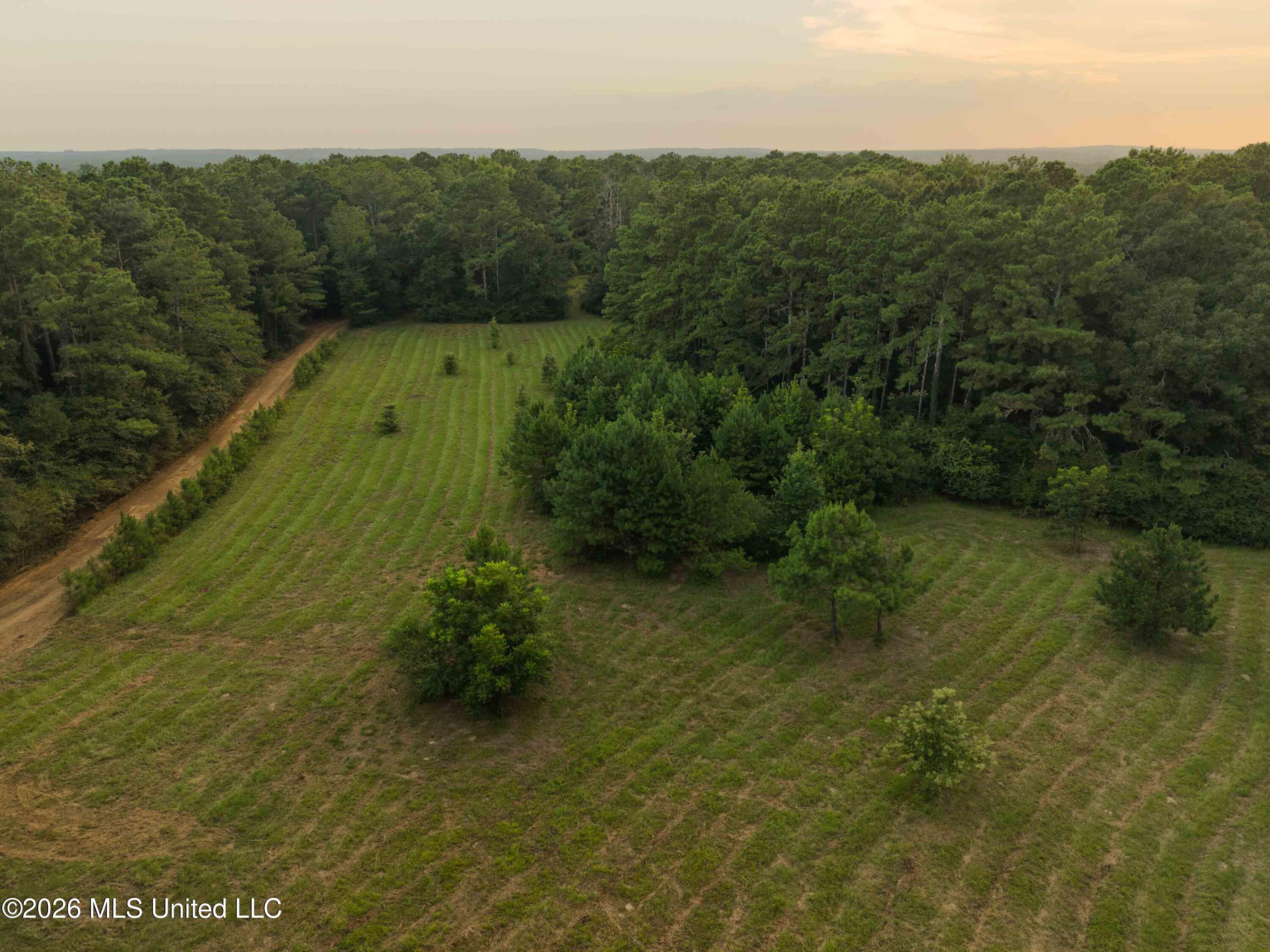 235 Woodrow Martin Road Brandon, MS 39042 - Photo 2 of 36 watsonphotography260720191553