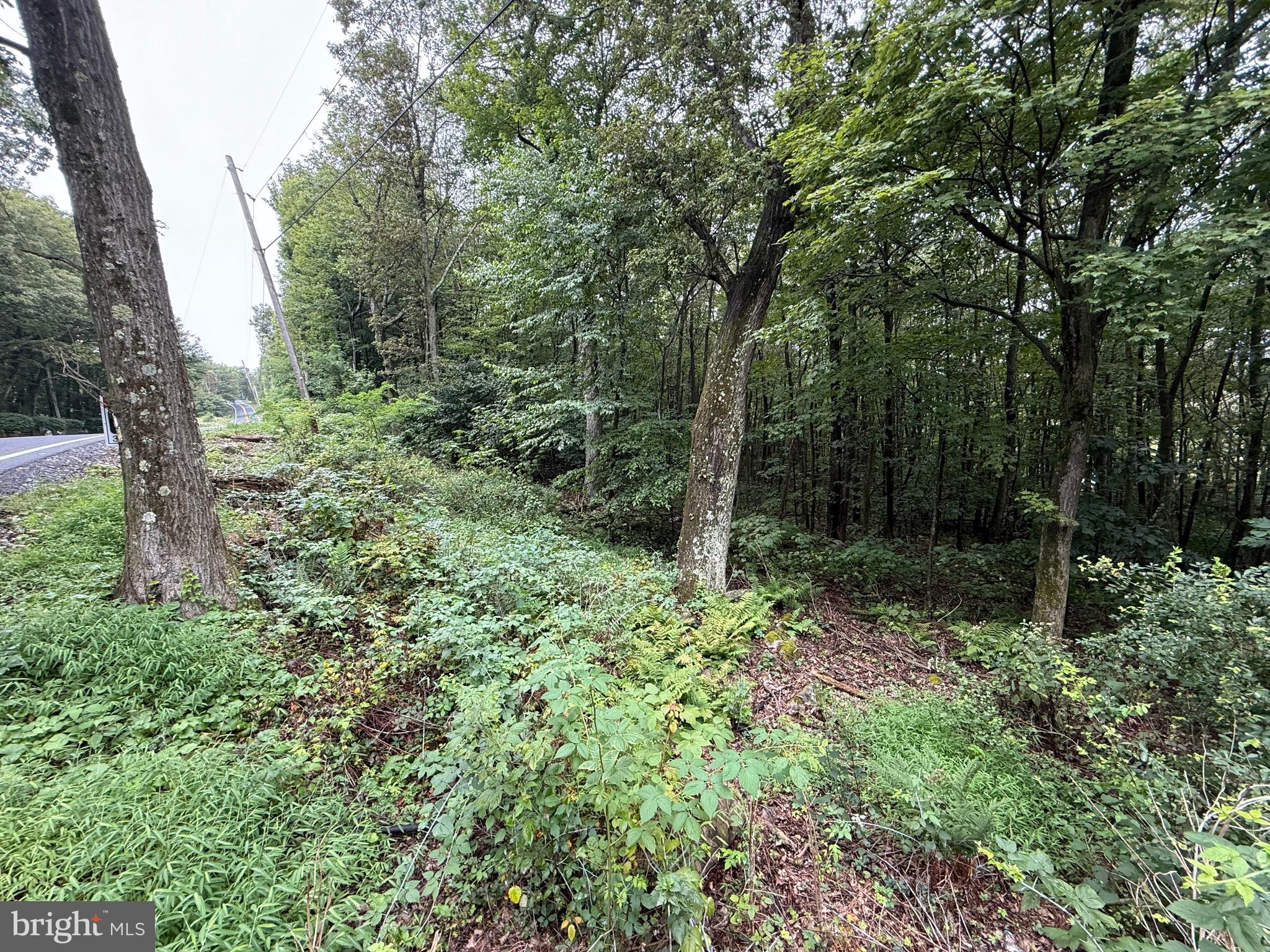 0 Pinnacle Road Keyser, WV 26726 - Photo 60 of 61