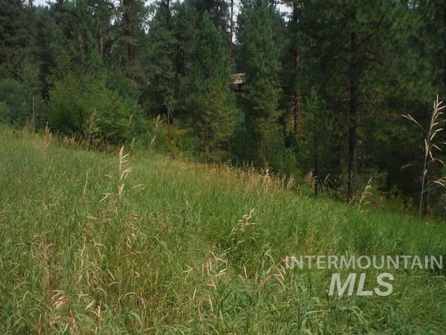 Tbd Beaver Creek Road Boise, ID 83716 - Photo 1 of 1 Gallery Image 1
