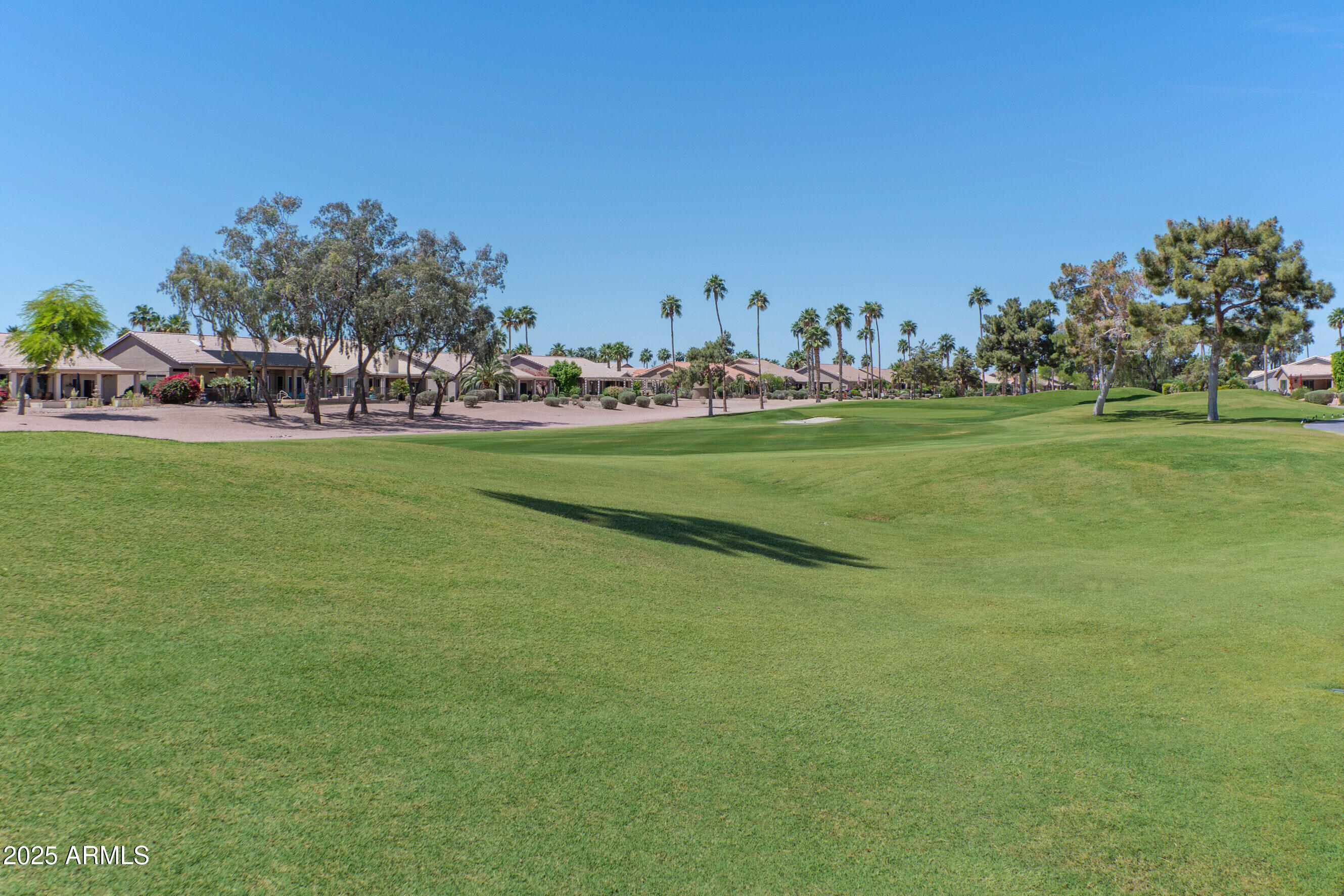 15371 Piccadilly Road Goodyear, AZ 85395 - Photo 21 of 26 a garden with flowers and trees