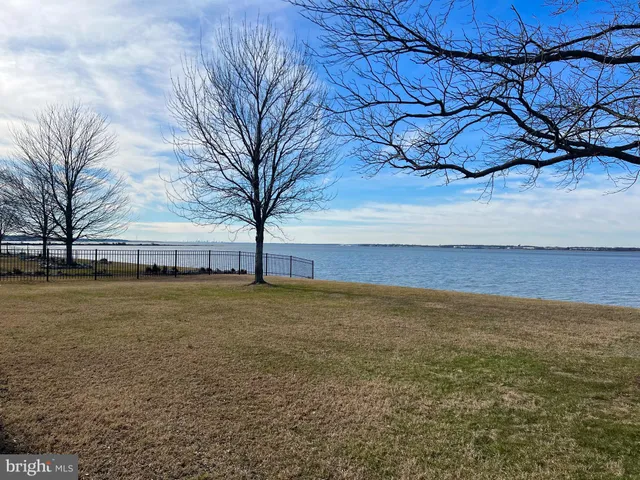 a view of large trees with wooden fence