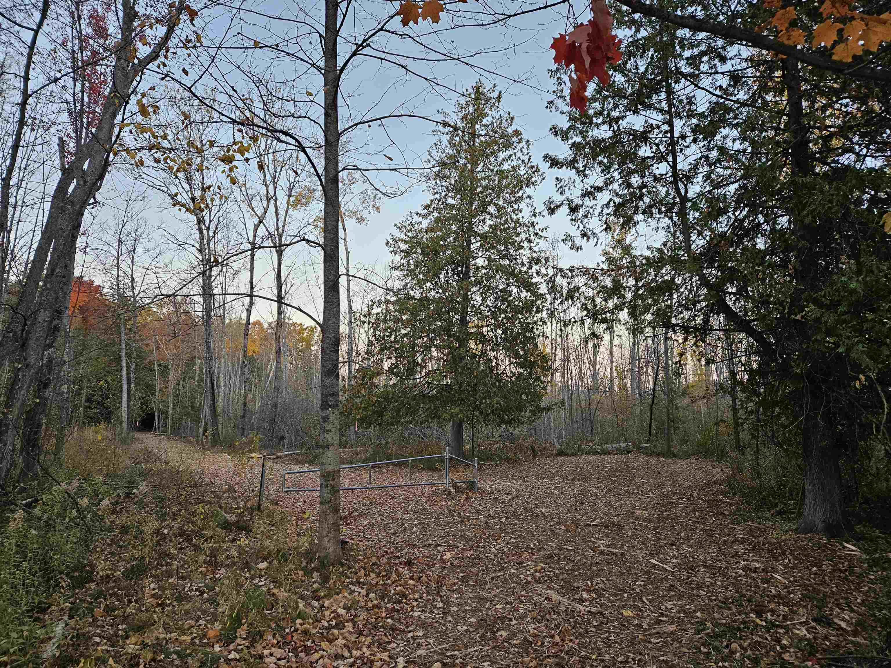 20 Diamond Park Road Interlochen, MI 49643 - Photo 3 of 15