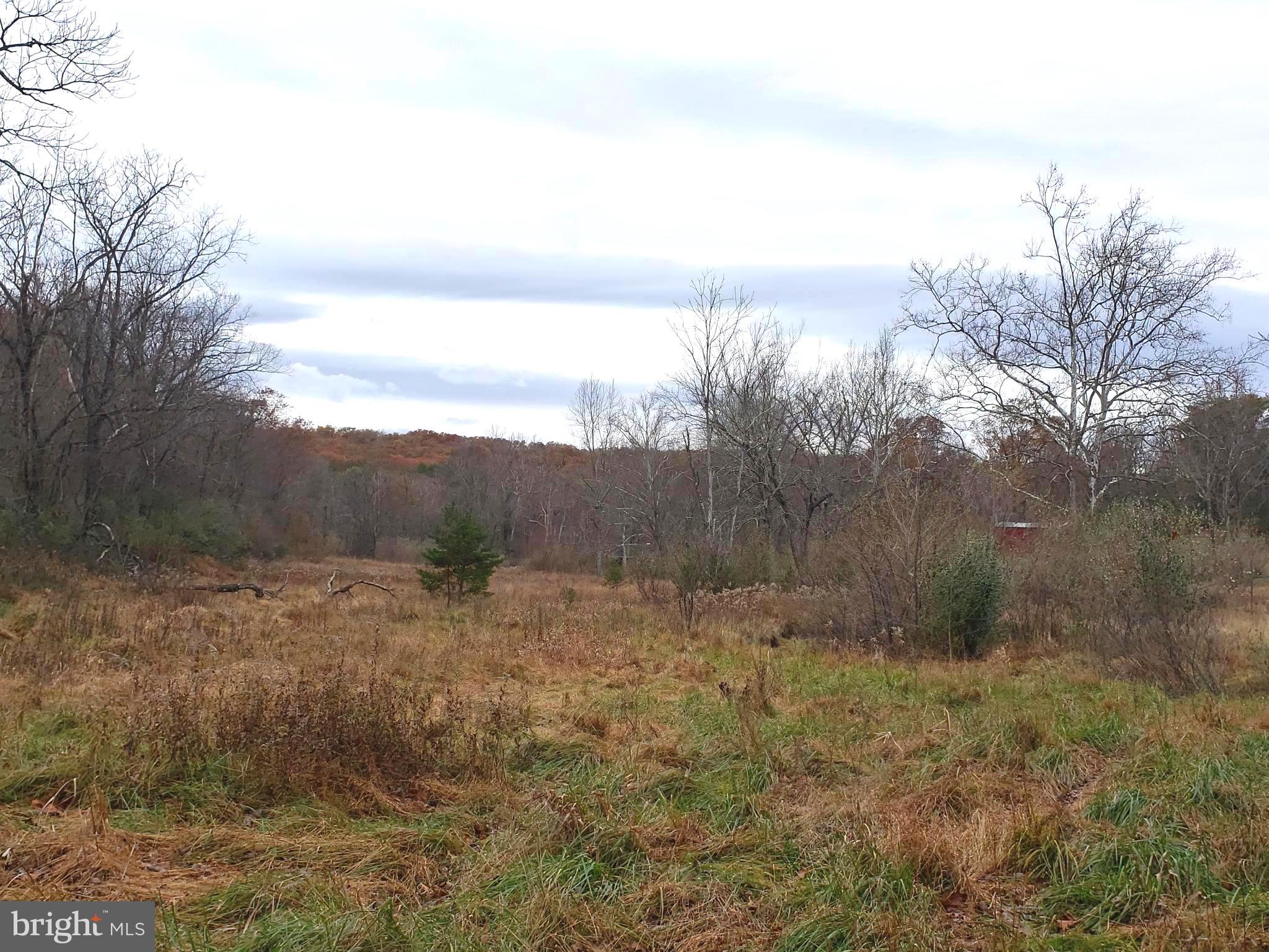 Lot 8 Cattail Road Winchester, VA 22603 - Photo 3 of 21 Gallery Image 3