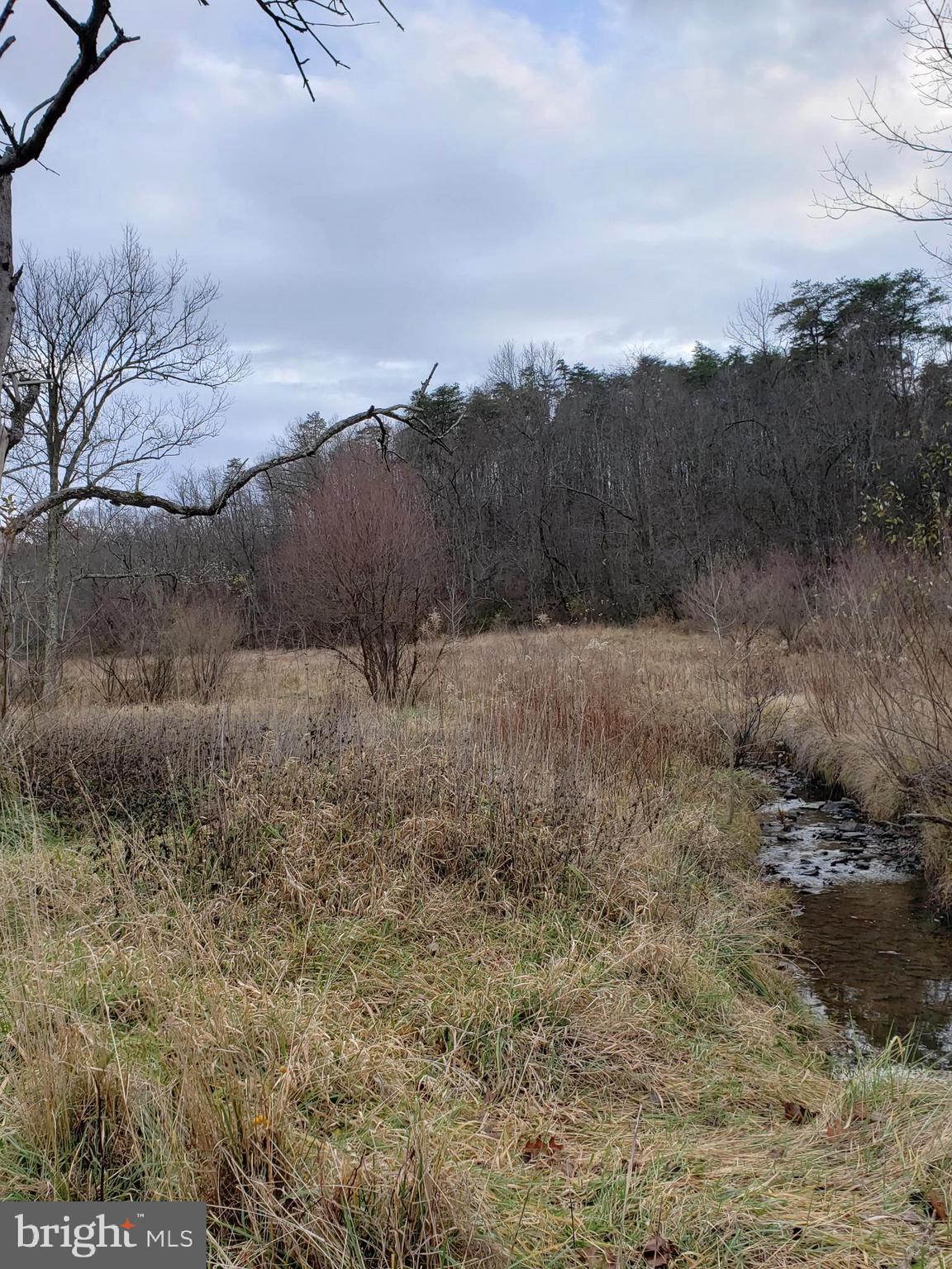 Lot 8 Cattail Road Winchester, VA 22603 - Photo 7 of 21 Gallery Image 7