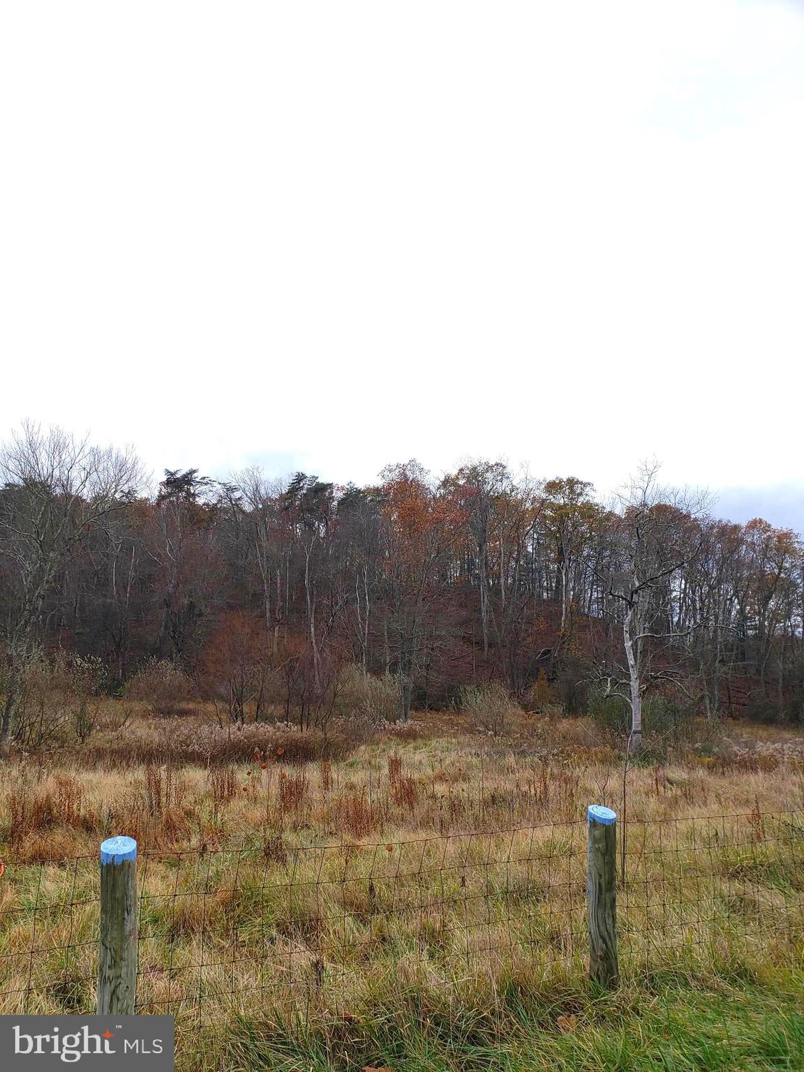 Lot 8 Cattail Road Winchester, VA 22603 - Photo 8 of 21 Gallery Image 8