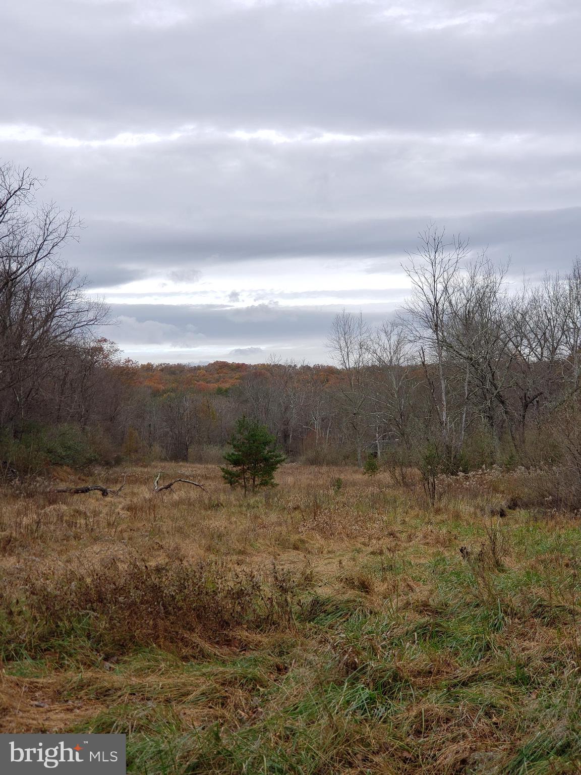 Lot 8 Cattail Road Winchester, VA 22603 - Photo 9 of 21 Gallery Image 9