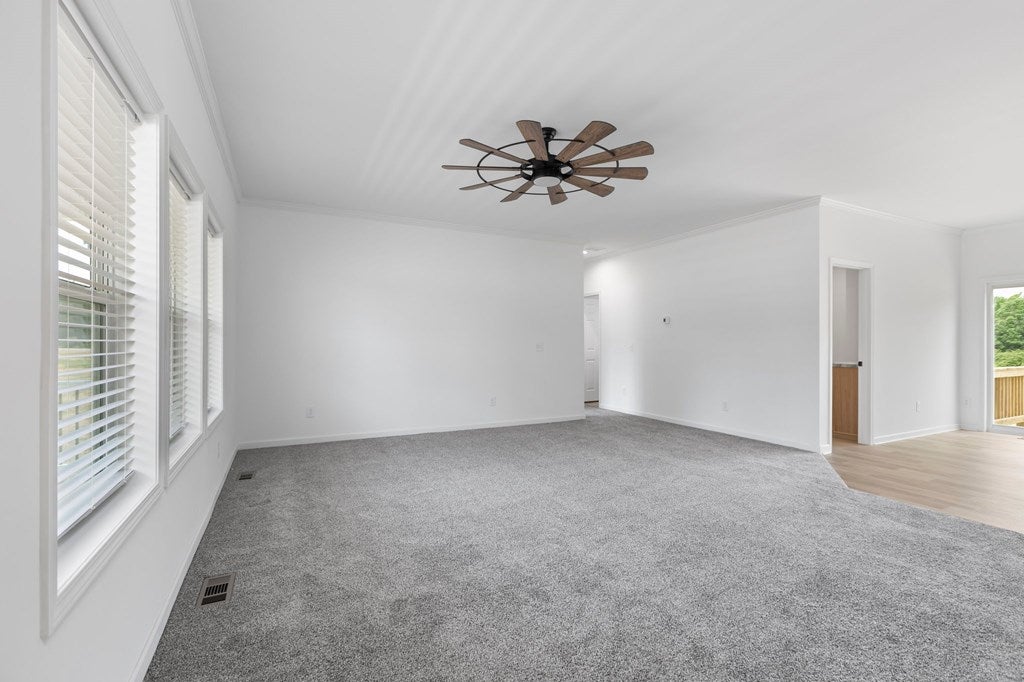 915 Levi Road Green Bay, VA 23942 - Photo 4 of 45 Gallery Image 4