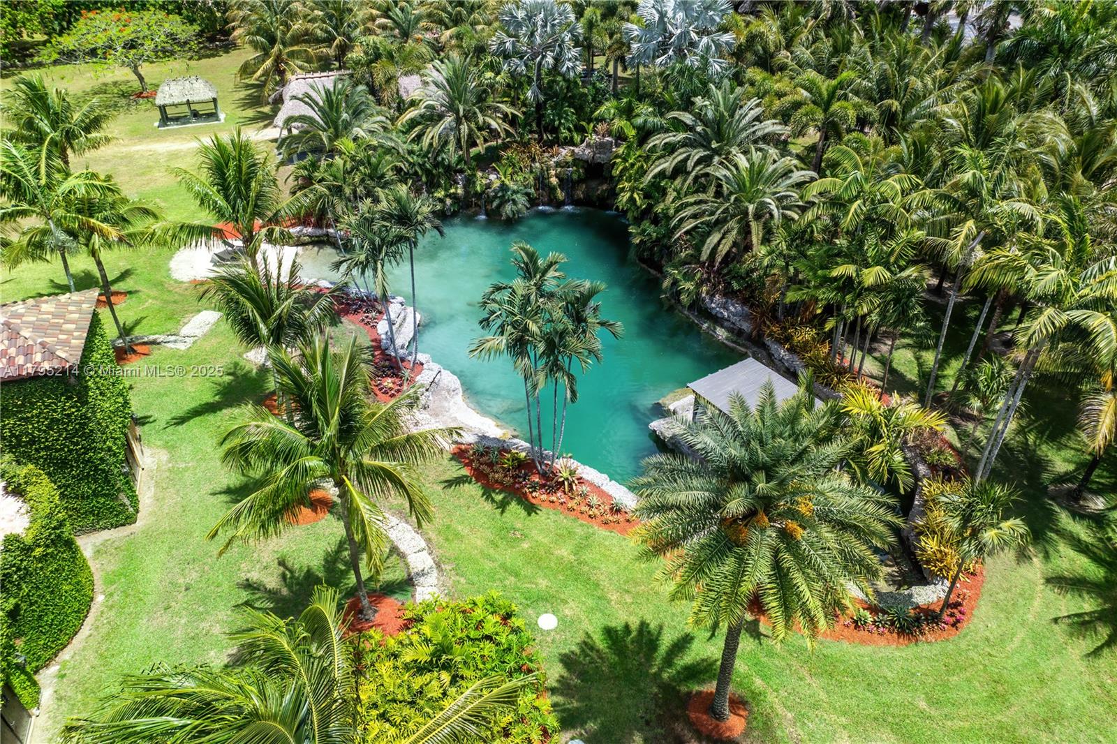 17201 Southwest 248th Street Homestead, FL 33031 - Photo 55 of 78 a plant that is in a garden