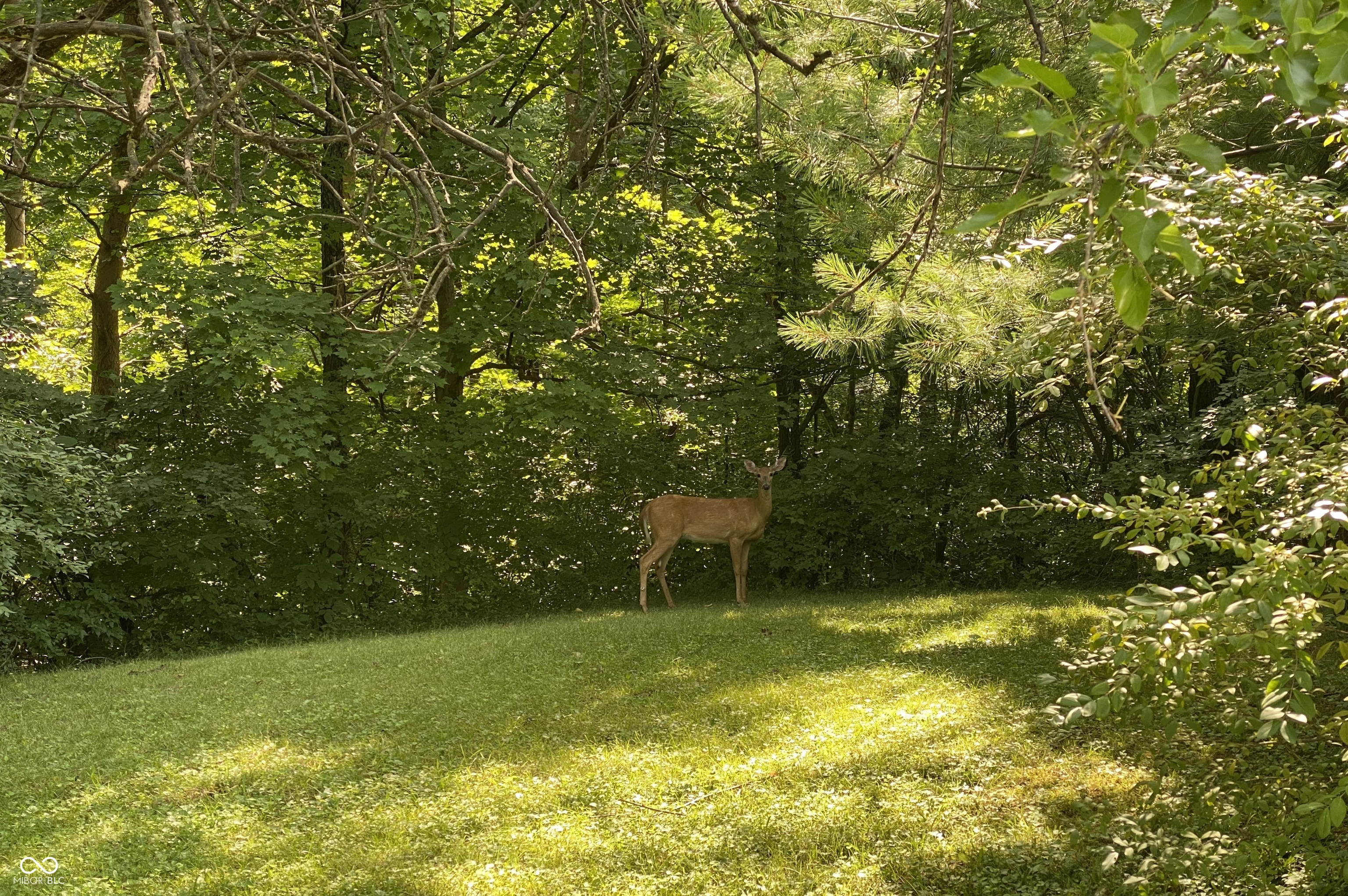 8650 Fall Creek Road Indianapolis, IN 46256 - Photo 54 of 85 Gallery Image 54