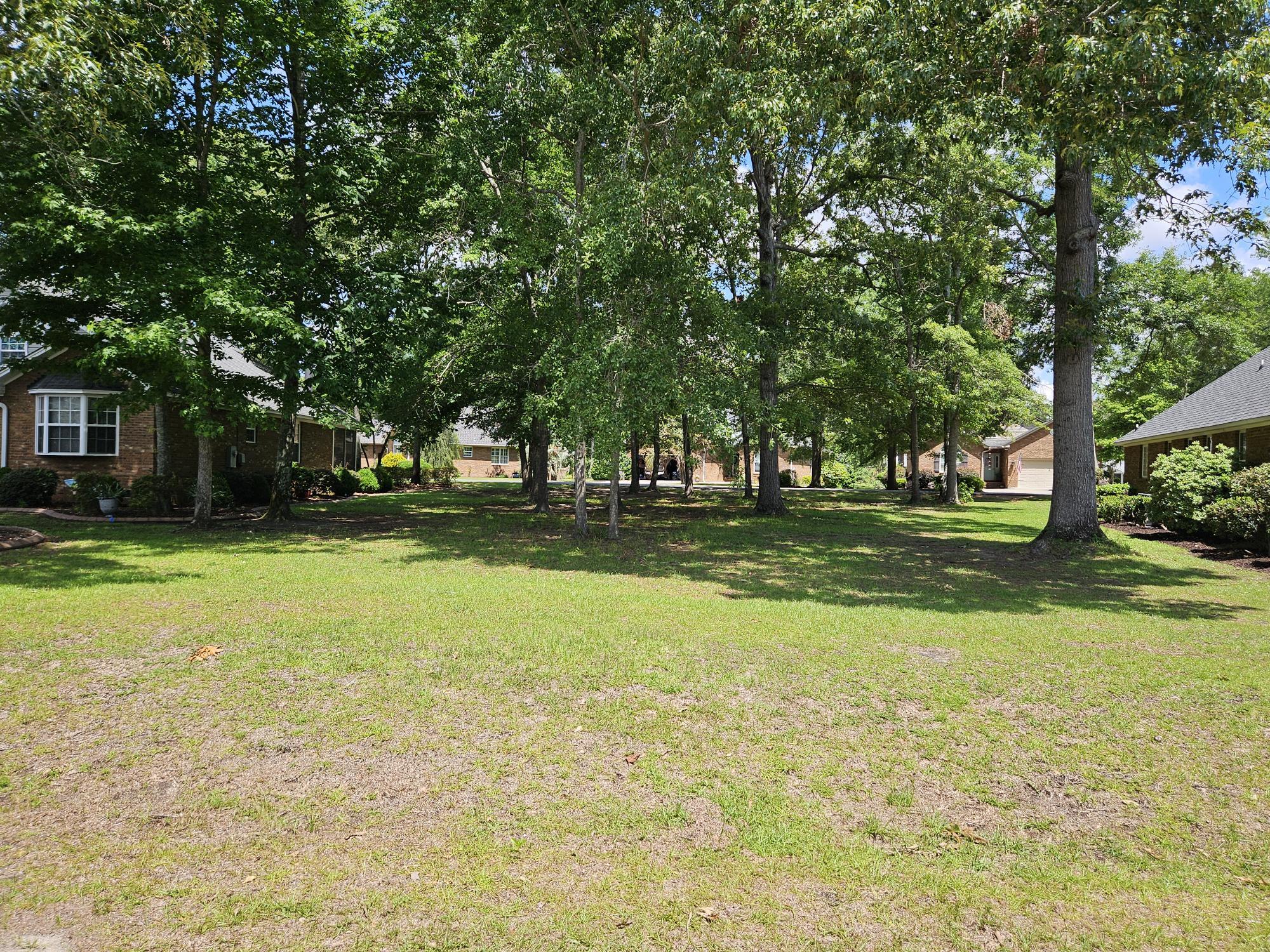 258 Ridge Lake Drive Manning, SC 29102 - Photo 2 of 24 FRONT OF LOT