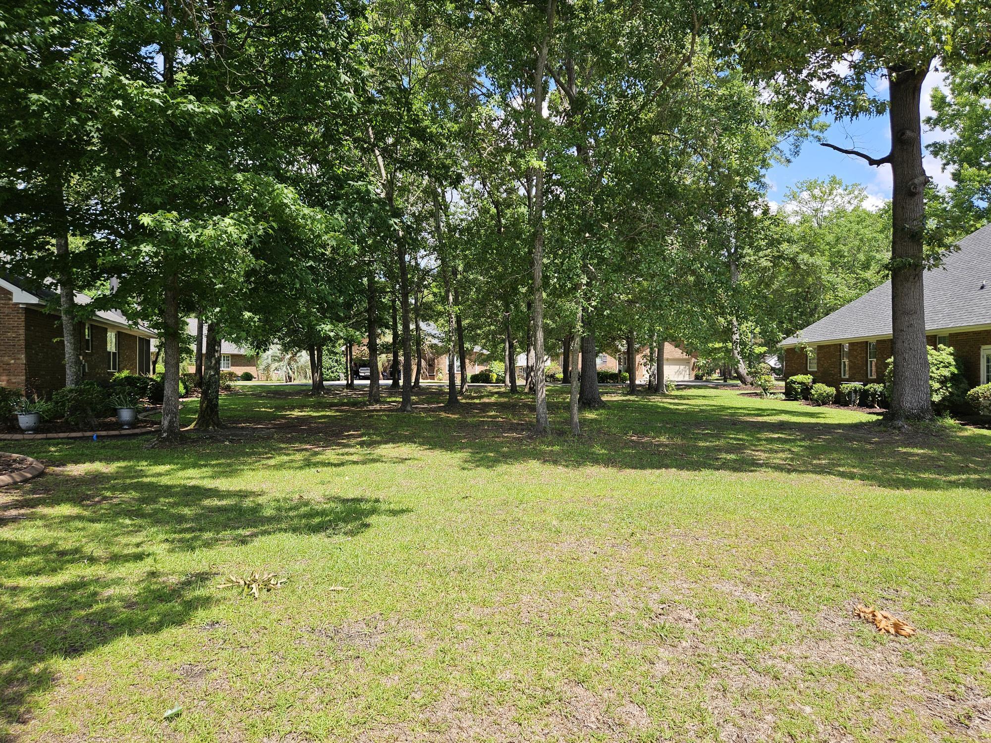 258 Ridge Lake Drive Manning, SC 29102 - Photo 3 of 24 SOME NICE SHADE TREES