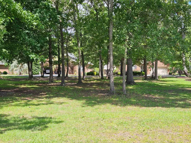 $21,000 | 258 Ridge Lake Drive, Manning, SC 29102