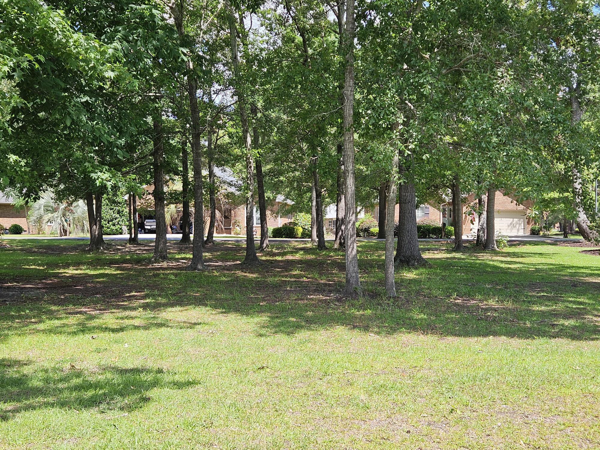 258 Ridge Lake Drive Manning, SC 29102 - Photo 5 of 24 MIDDLE OF THE LOT