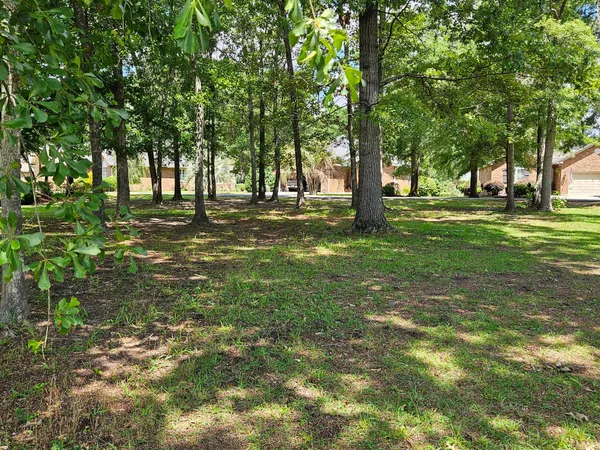 $21,000 | 258 Ridge Lake Drive, Manning, SC 29102