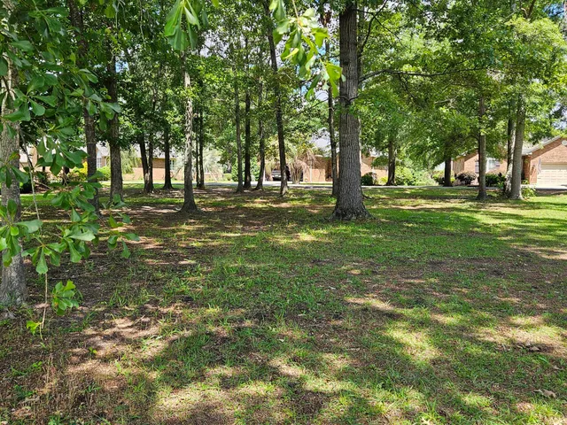 $21,000 | 258 Ridge Lake Drive, Manning, SC 29102