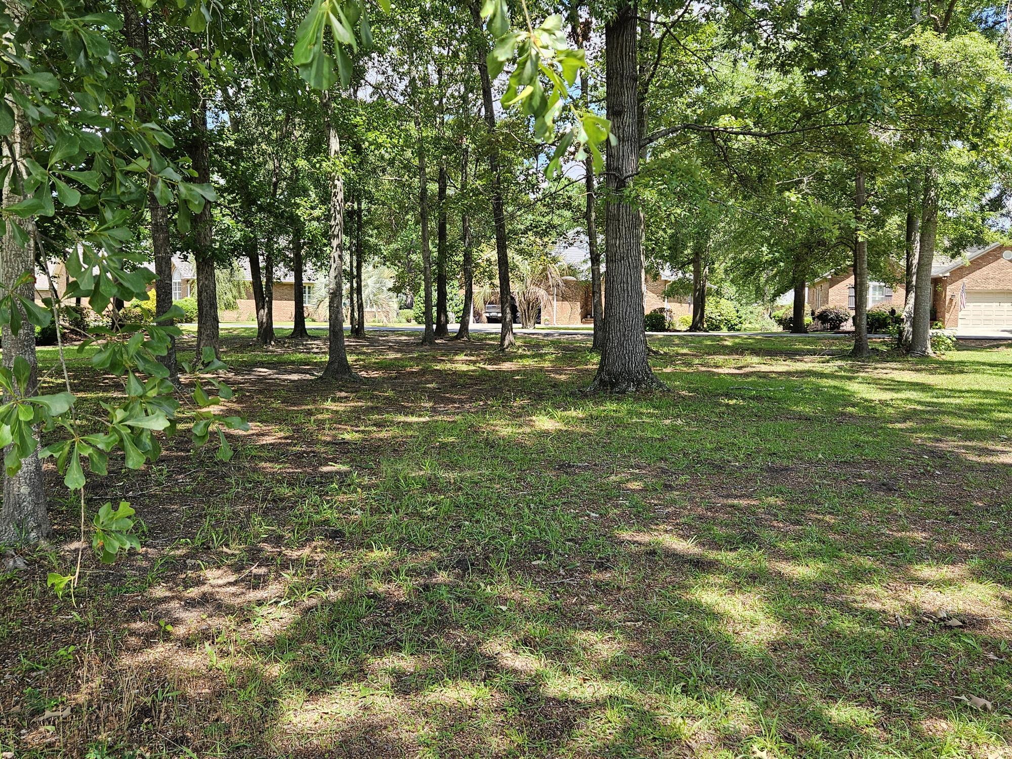 258 Ridge Lake Drive Manning, SC 29102 - Photo 6 of 24 BACK OF THE LOT