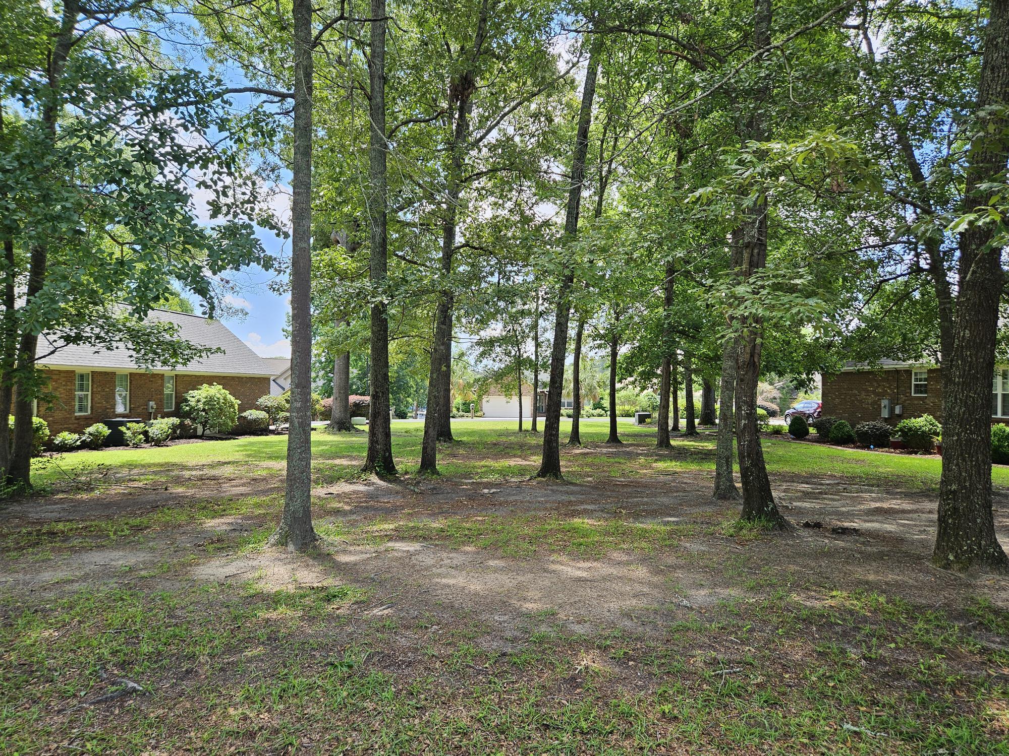 258 Ridge Lake Drive Manning, SC 29102 - Photo 7 of 24 LOOKING TOWARD LAKE ARBU