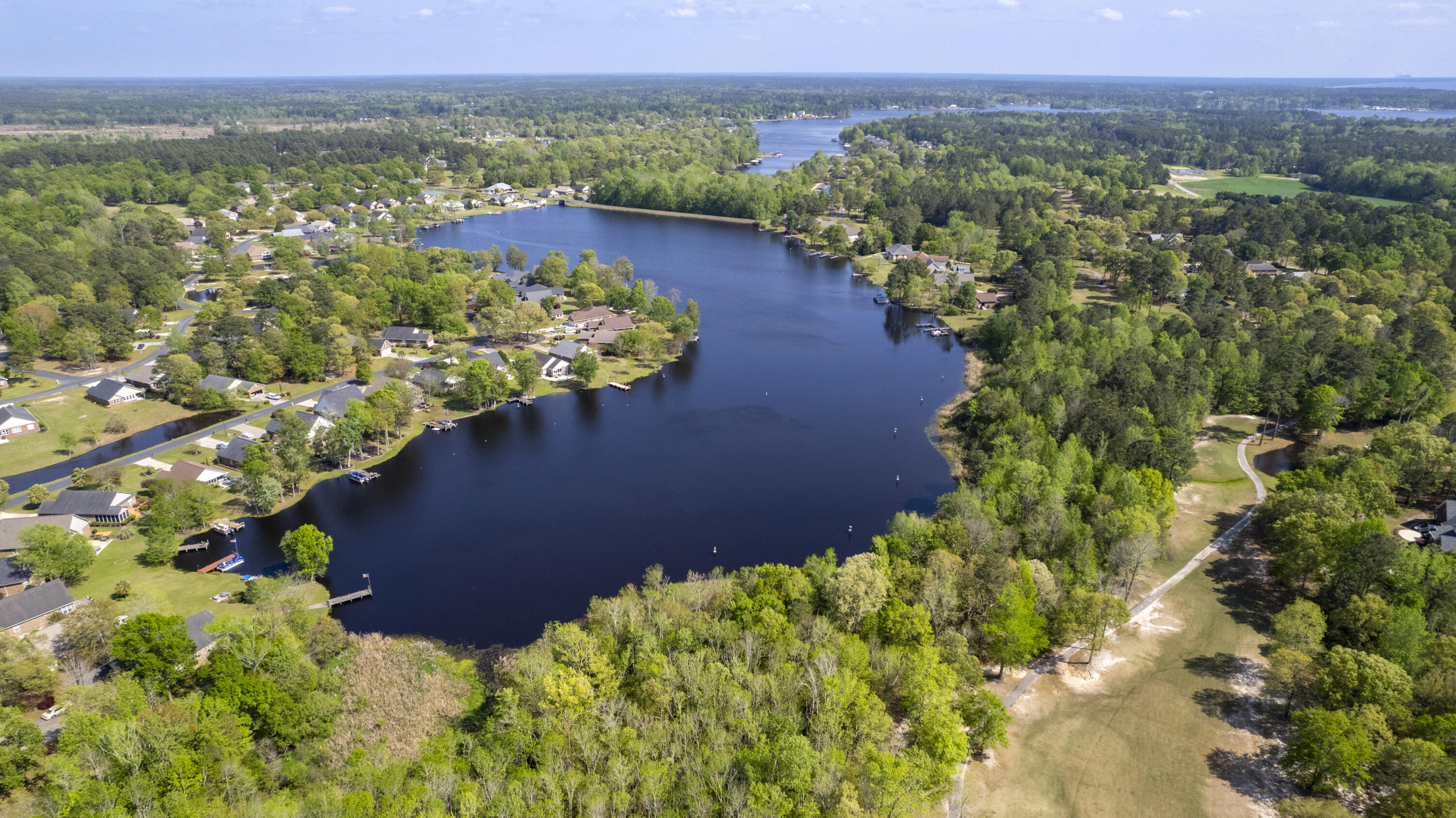 258 Ridge Lake Drive Manning, SC 29102 - Photo 9 of 24 AERIAL VIEW