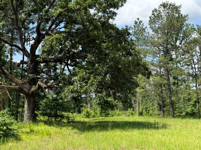 0 Marsalis Road Arcadia, LA 71001 - Photo 6 of 16