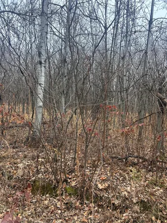$25,900 | Tbdxx Tbdxx Golf Course Drive, Randall, MN 56475