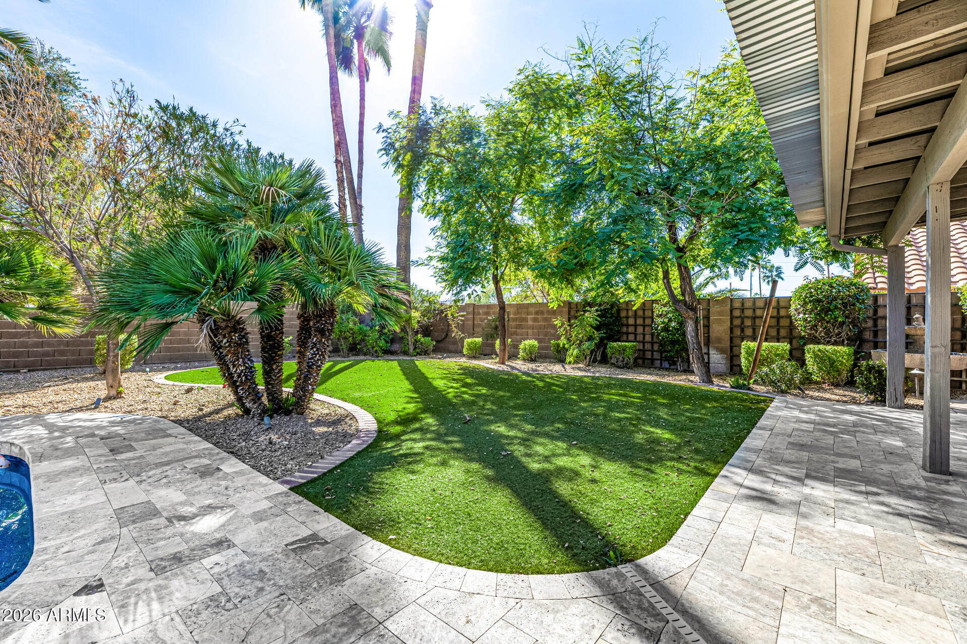 801 East Acoma Drive Phoenix, AZ 85022 - Photo 52 of 62 a view of a backyard with potted plants and large trees