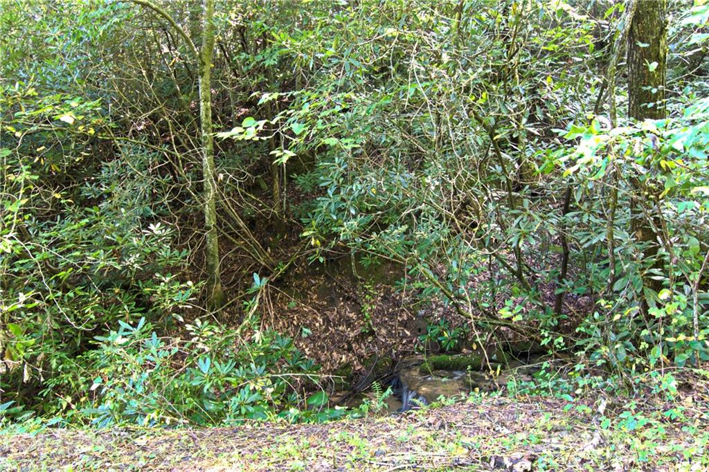 5963 Bat Cave Road Old Fort, NC 28762 - Photo 34 of 35 Gallery Image 34