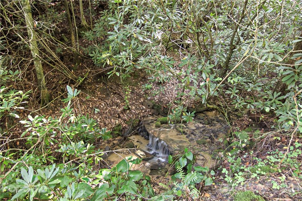 5963 Bat Cave Road Old Fort, NC 28762 - Photo 35 of 35 Gallery Image 35