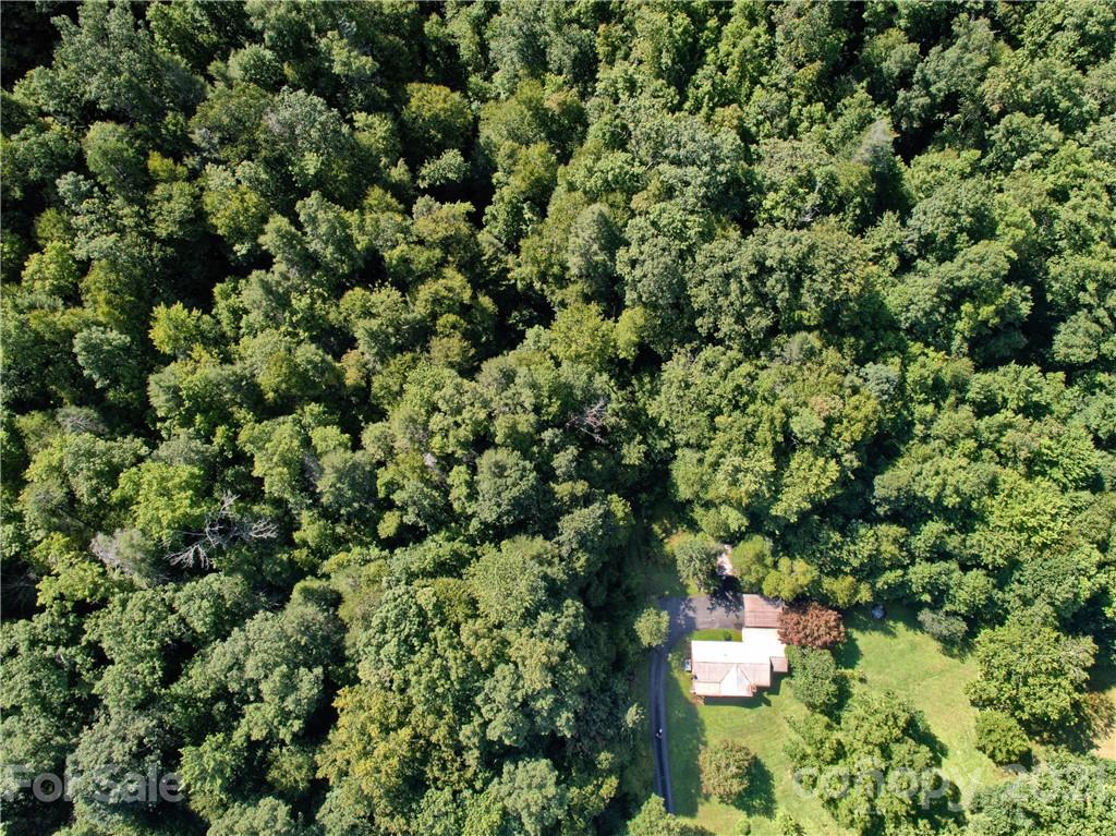 5963 Bat Cave Road Old Fort, NC 28762 - Photo 6 of 35 Gallery Image 6