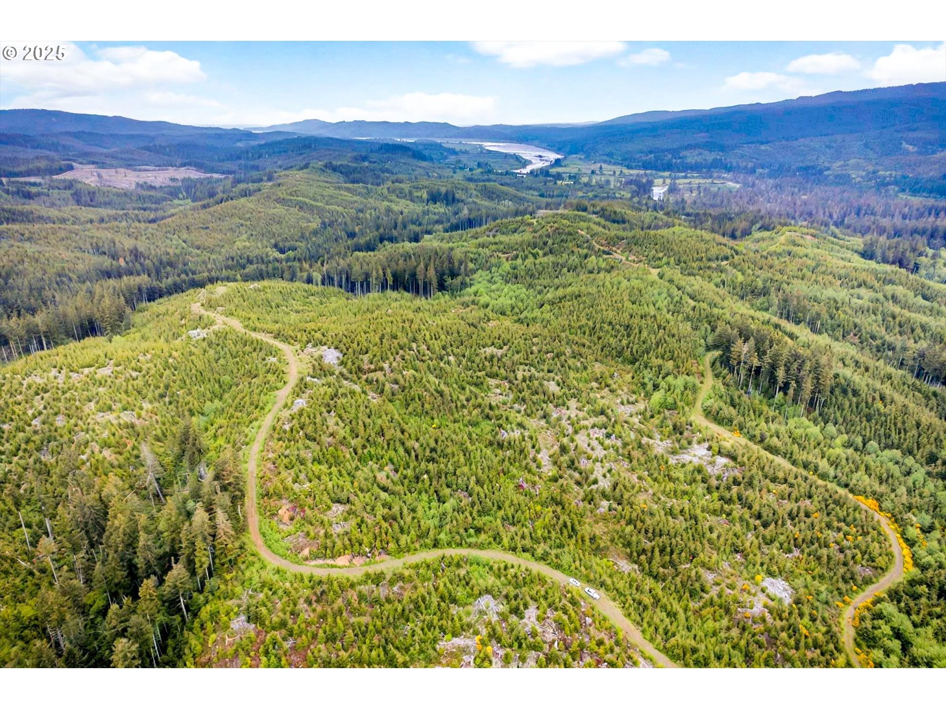 1 Parpala Road Naselle, WA 98638 - Photo 8 of 9 Acreage