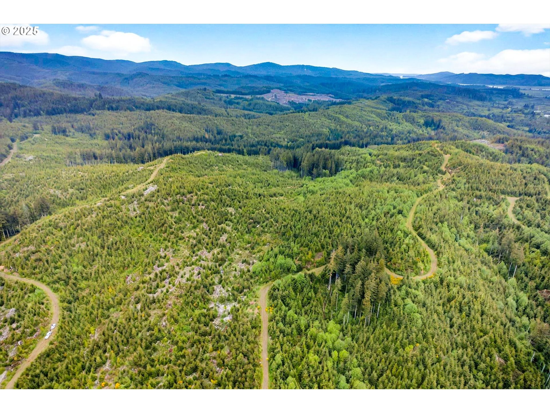 1 Parpala Road Naselle, WA 98638 - Photo 9 of 9 Acreage