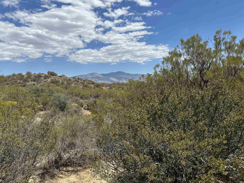 59675 Upper Tule Road Anza, CA 92539 - Photo 7 of 9 a view of a city with lush green forest