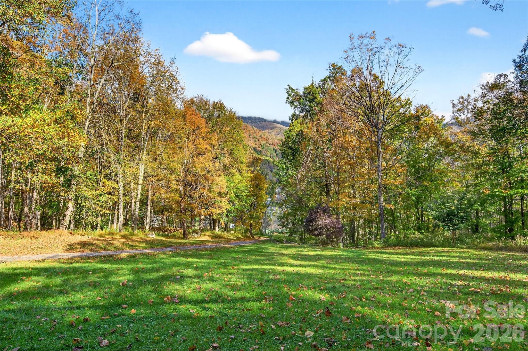 575 Croft Way Bakersville, NC 28705 - Photo 34 of 38 a view of outdoor space with trees all around