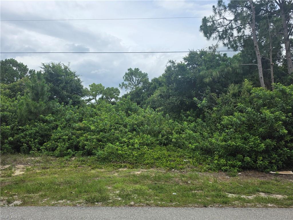 3416 35th Street Southwest Lehigh Acres, FL 33976 - Photo 4 of 7
