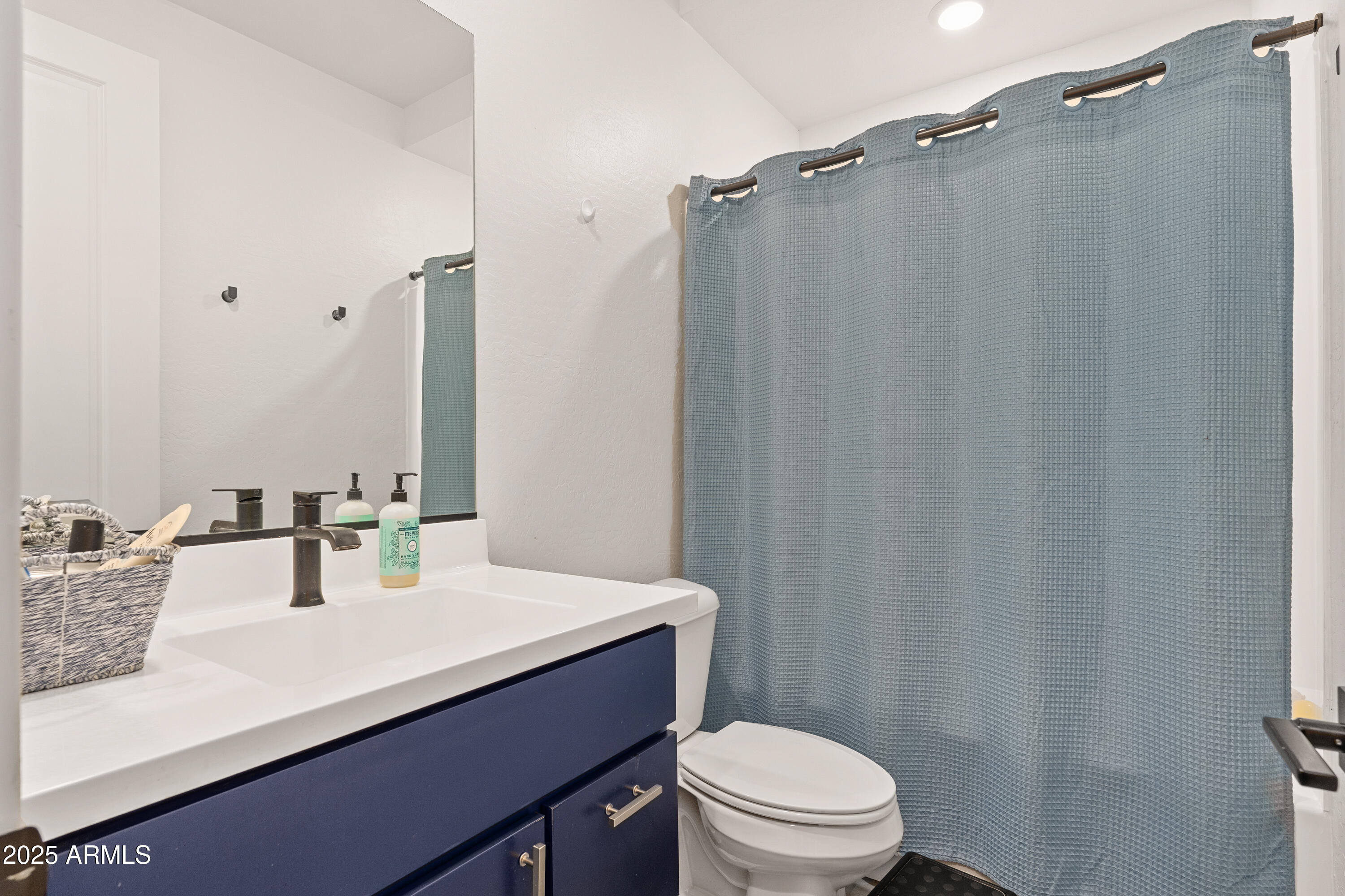 21357 East Macaw Drive Queen Creek, AZ 85142 - Photo 22 of 48 a bathroom with a sink a toilet a mirror and shower curtain