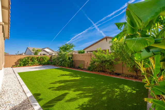 a view of a backyard with potted plants