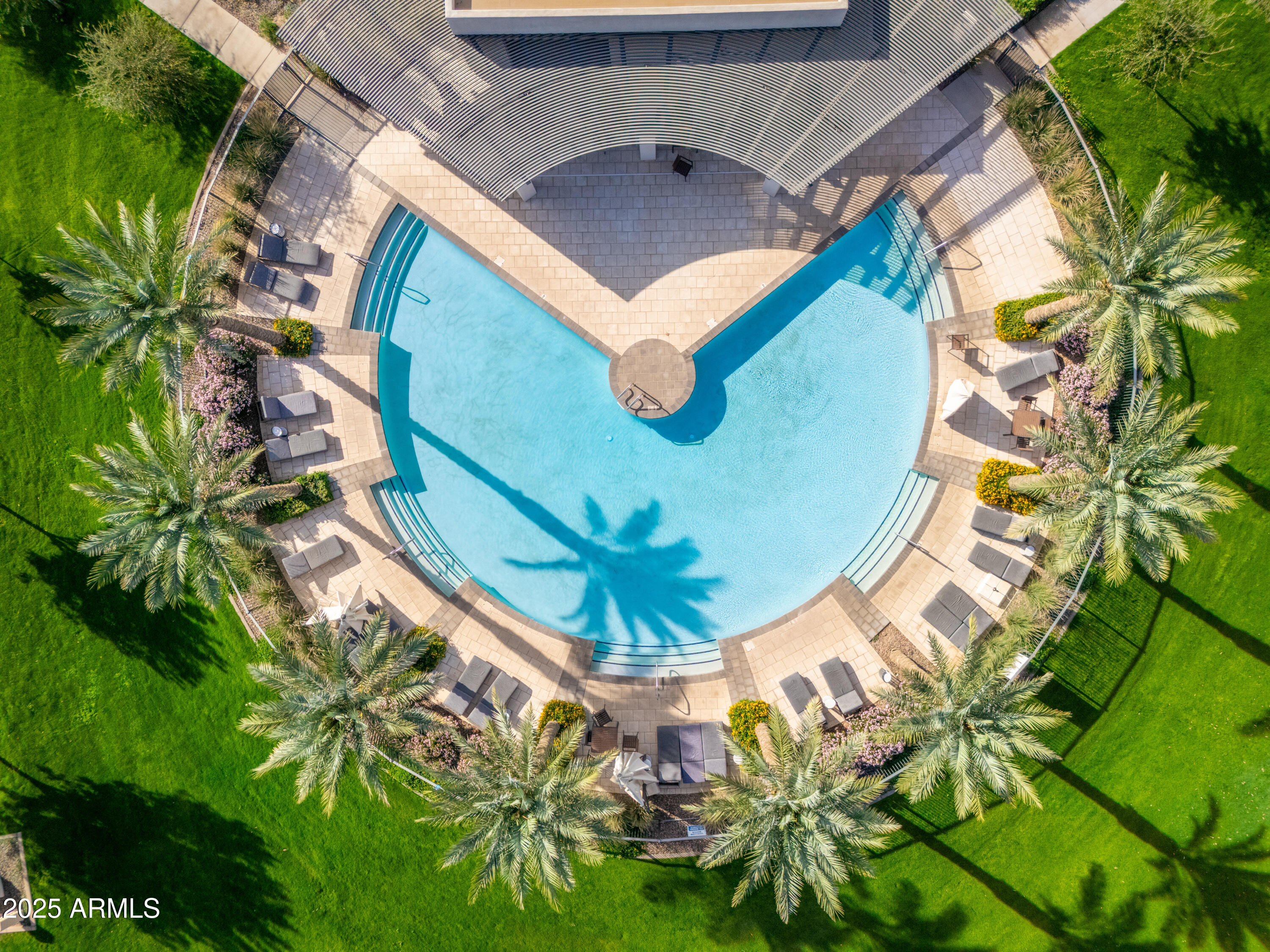 21357 East Macaw Drive Queen Creek, AZ 85142 - Photo 45 of 48 a view of a swimming pool