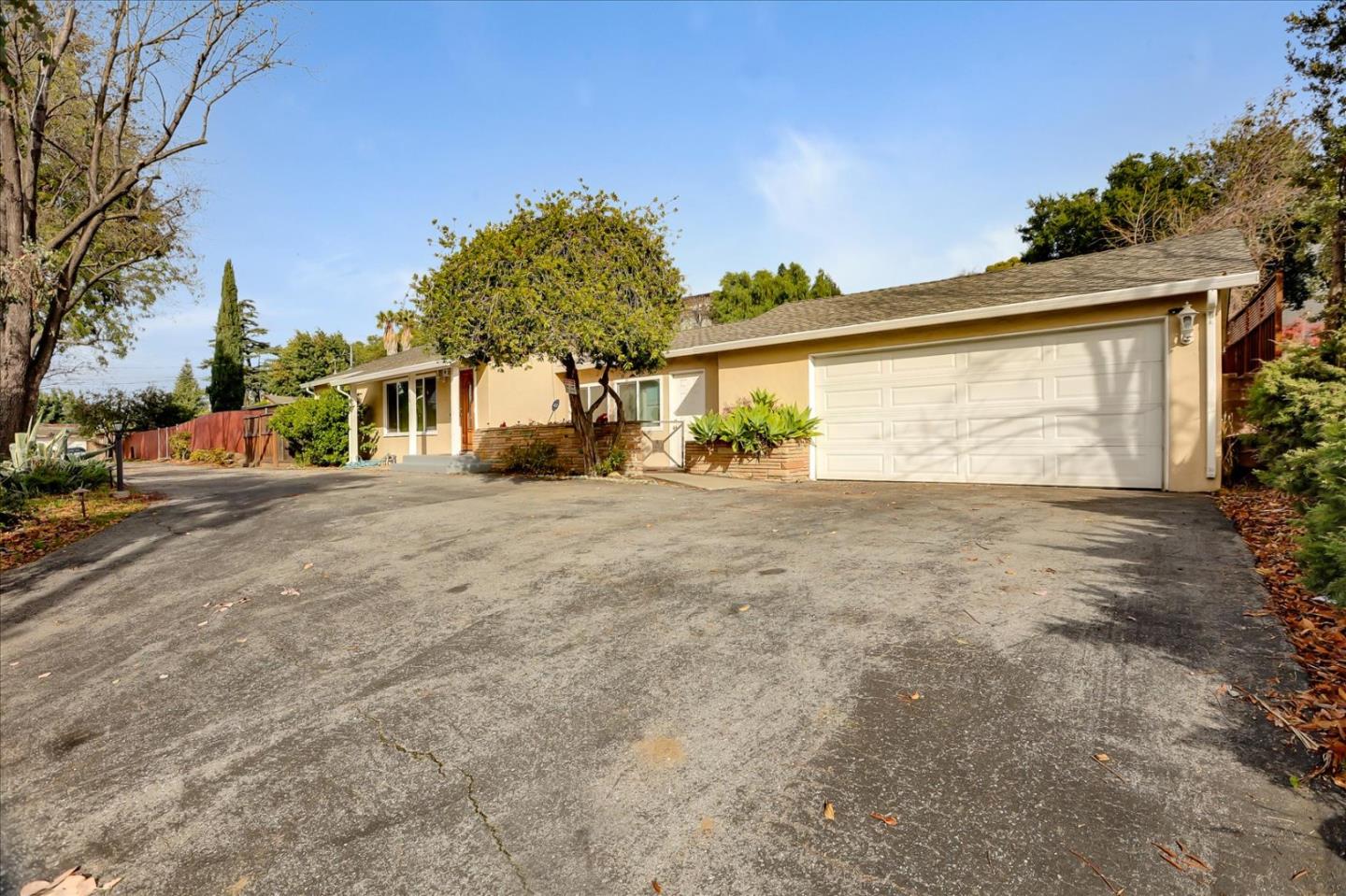 a front view of house with a garden