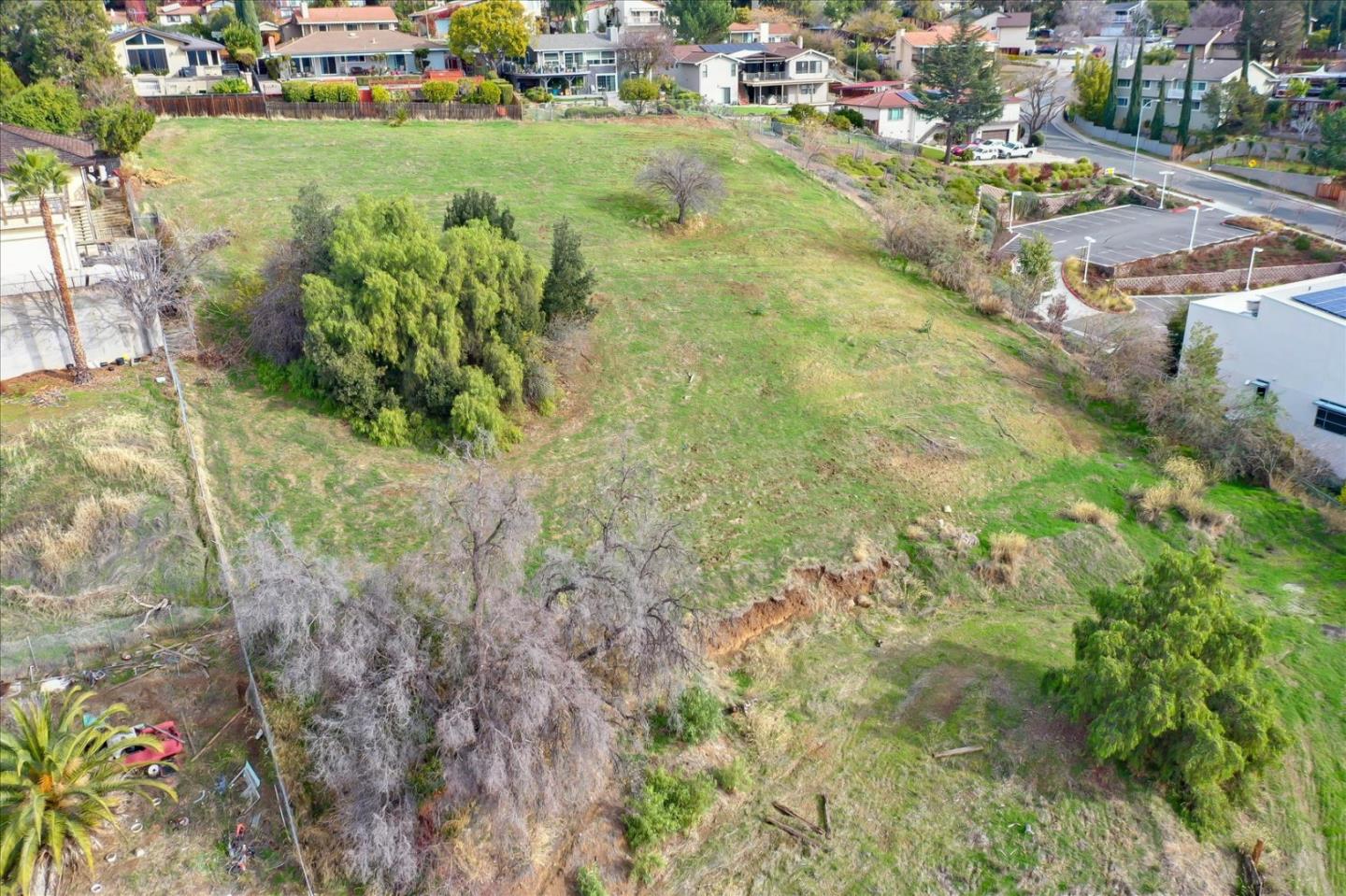10150 Clayton Road San Jose, CA 95127 - Photo 42 of 61 a view of a yard with plants and large trees